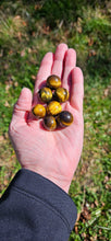 Load image into Gallery viewer, Tiger Eye Micro Sphere