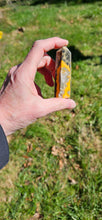Load image into Gallery viewer, Bumblebee Jasper Point