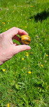 Load image into Gallery viewer, Tiger Eye Sphere