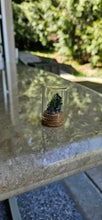 Load image into Gallery viewer, Bismuth in Glass Display