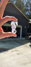 Load image into Gallery viewer, Fluorite Seahorse