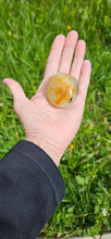 Load image into Gallery viewer, Agate Palm Stone