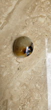 Load image into Gallery viewer, Agate Palm Stone