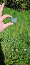Load image into Gallery viewer, Labradorite Butterfly