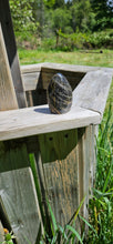 Load image into Gallery viewer, Black Moonstone Free Form