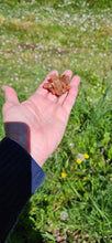 Load image into Gallery viewer, Aragonite Cluster
