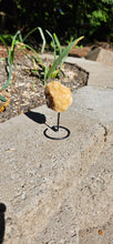 Load image into Gallery viewer, Citrine on Stand