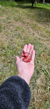 Load image into Gallery viewer, Red Jasper Unicorn