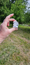Load image into Gallery viewer, Howlite Dragon