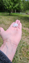 Load image into Gallery viewer, Howlite Mini Skull