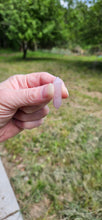 Load image into Gallery viewer, Rose Quartz Mini DT
