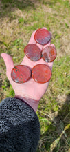 Load image into Gallery viewer, Petrified Wood 5 Available
