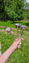 Load image into Gallery viewer, Lepidolite Rose