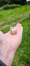Load image into Gallery viewer, Crazy Lace Agate Small Apple