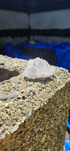 Load image into Gallery viewer, Clear Quartz Cluster