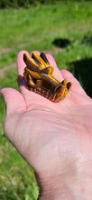 Load image into Gallery viewer, Tiger Eye Dragon Head