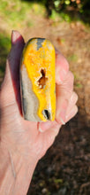 Load image into Gallery viewer, Bumblebee Jasper Freeform