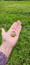 Load image into Gallery viewer, Aragonite Cluster