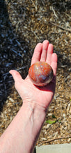 Load image into Gallery viewer, Petrified Wood Sphere