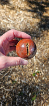 Load image into Gallery viewer, Petrified Wood Sphere