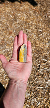 Load image into Gallery viewer, Bumblebee Jasper Point