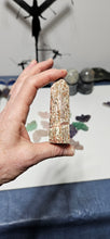 Load image into Gallery viewer, Leopard Skin Jasper Point