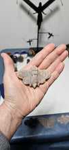 Load image into Gallery viewer, Lepidolite Moth