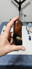 Load image into Gallery viewer, Indonesian Amber Freeform