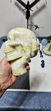 Load image into Gallery viewer, Serpentine Skull in Claw