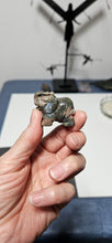 Load image into Gallery viewer, Que Sera Elephant