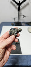 Load image into Gallery viewer, Que Sera Turtle