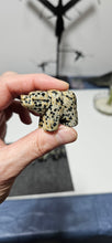 Load image into Gallery viewer, Dalmatian Jasper Bear