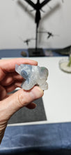 Load image into Gallery viewer, Fluorite Bear