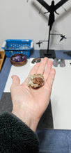 Load image into Gallery viewer, Aragonite Cluster
