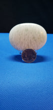 Load image into Gallery viewer, Amazonite Palm Stone