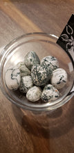 Load image into Gallery viewer, Tree Agate Tumble Stones