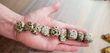 Load image into Gallery viewer, Dalmatian Jasper Tumble Stones