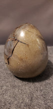 Load image into Gallery viewer, Septarian Nodule