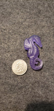 Load image into Gallery viewer, Fluorite Seahorse