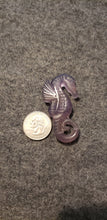Load image into Gallery viewer, Fluorite Seahorse