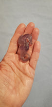 Load image into Gallery viewer, Fluorite Seahorse