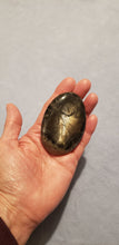 Load image into Gallery viewer, Black Moonstone Palm Stone