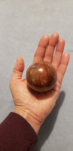 Load image into Gallery viewer, Petrified Wood Sphere