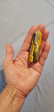 Load image into Gallery viewer, Bumblebee Jasper Point