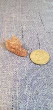 Load image into Gallery viewer, Strawberry Quartz Dragon Head