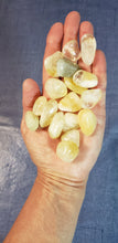 Load image into Gallery viewer, Citrine Tumble Stones