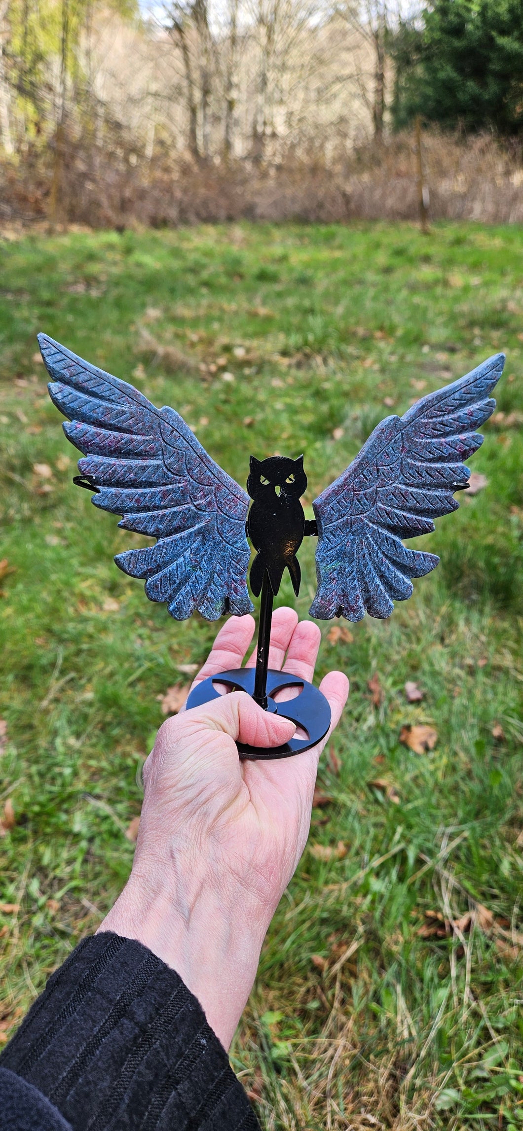 Ruby Fuchsite Kyanite Owl Wings