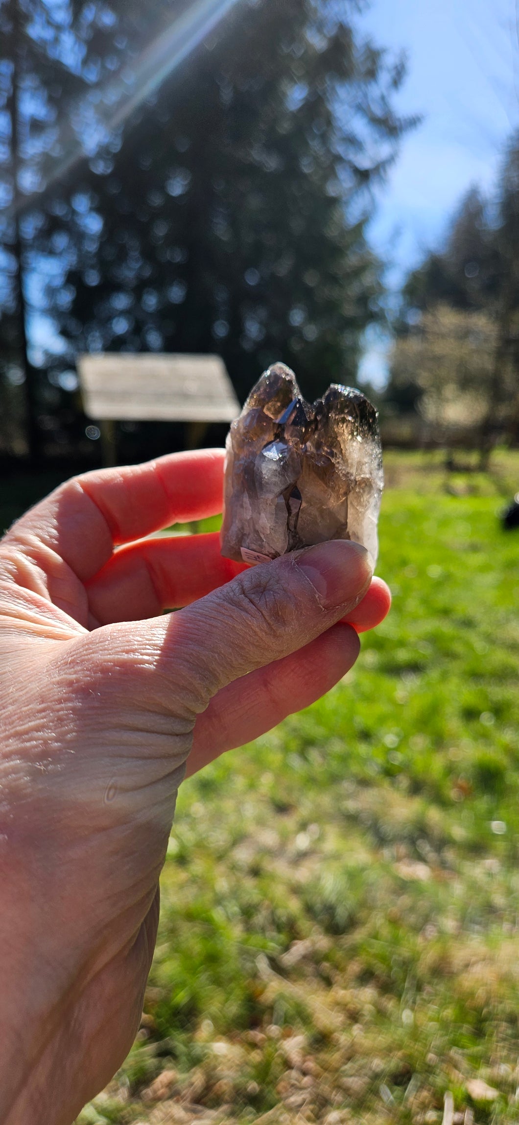 Smoky Quartz Cluster