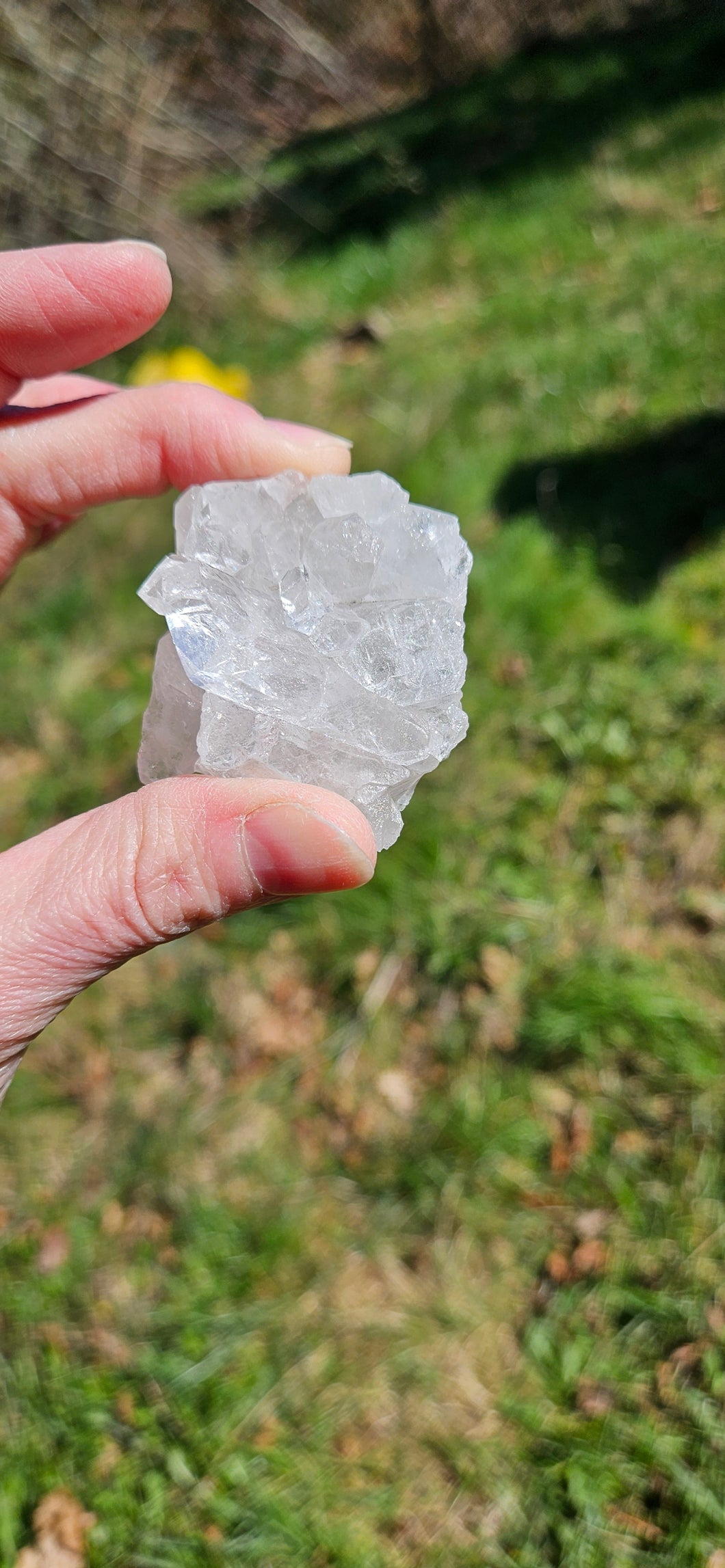 Clear Quartz Cluster