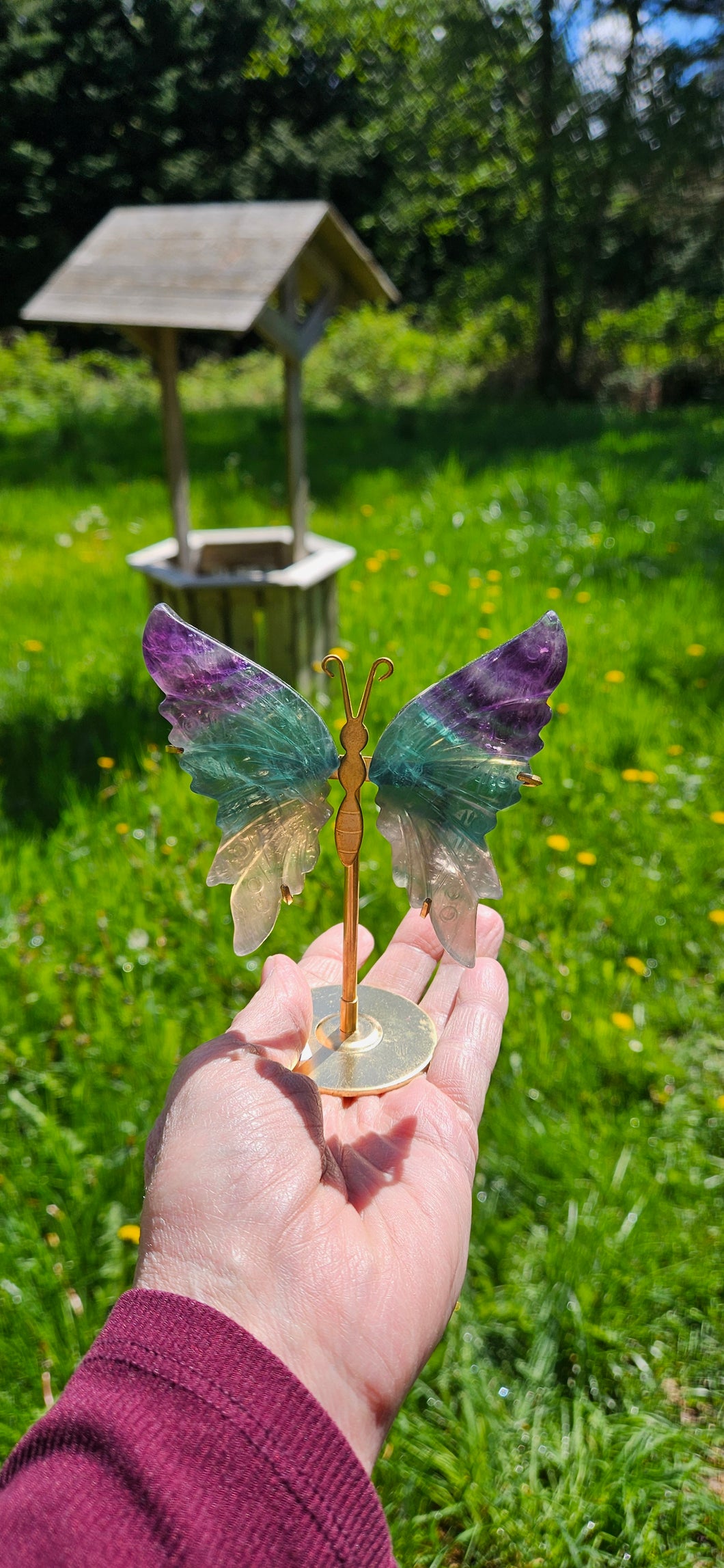 Rainbow Fluorite Butterfly